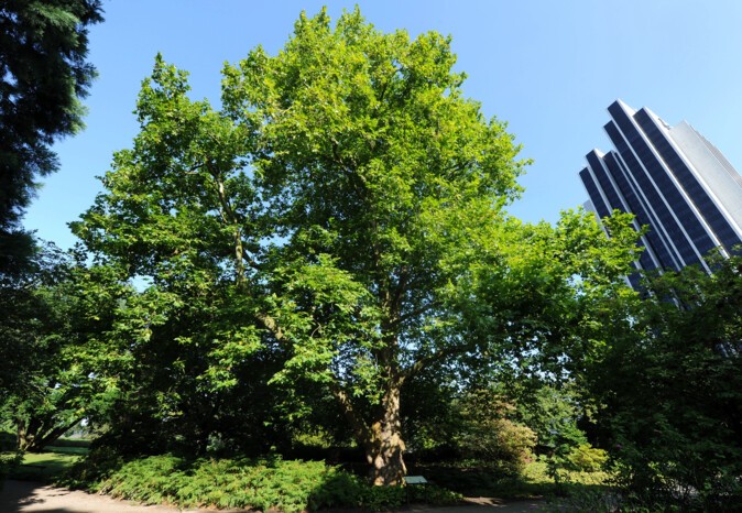 page-8.lang-en.ce-61.subce-30.image-alt