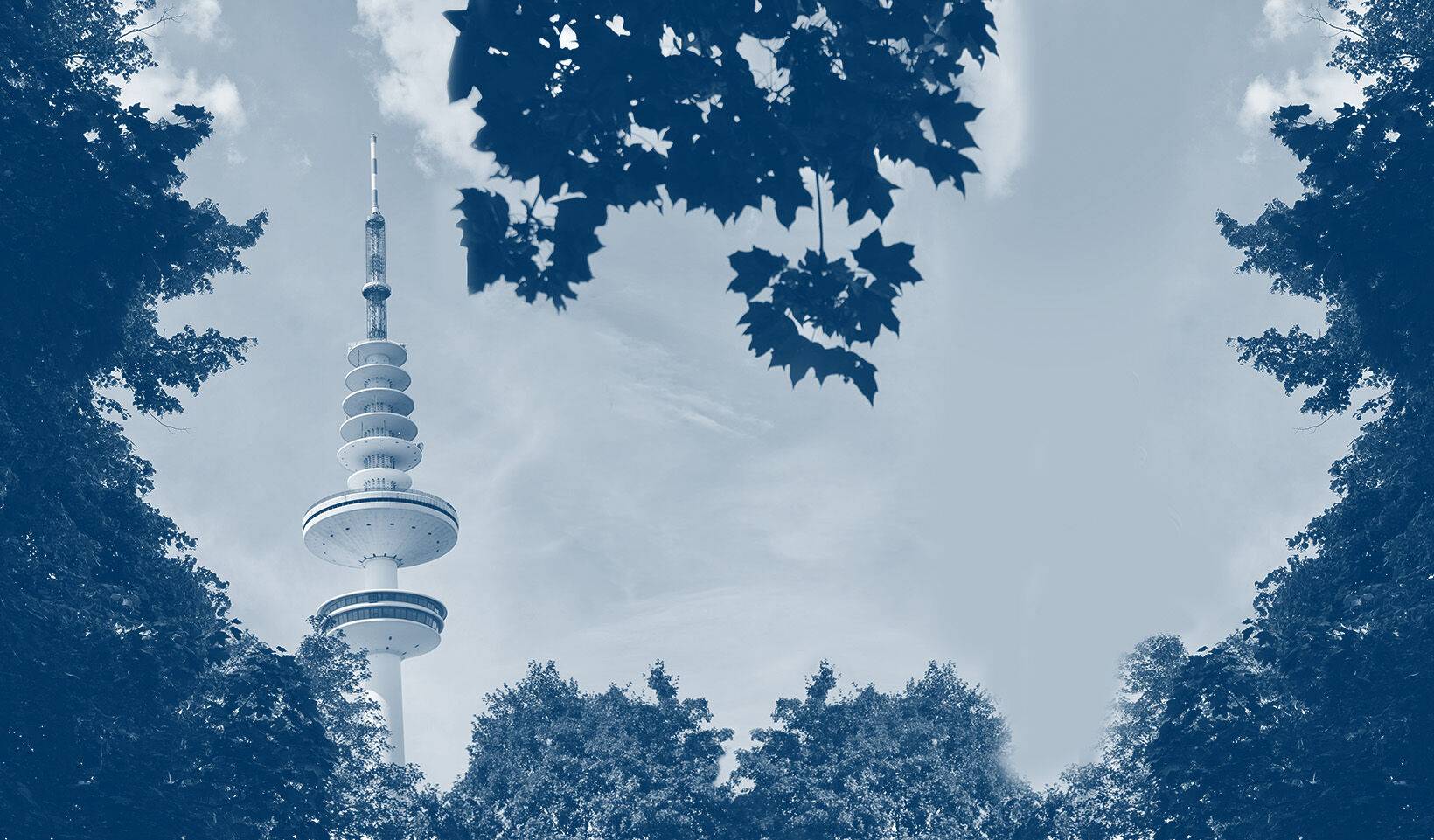 Photo of the Hamburg TV tower, with trees in the foreground