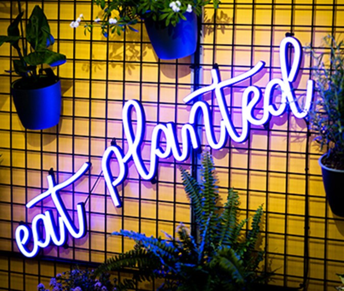 A yellow wall with illuminated lettering reading "eat planted"