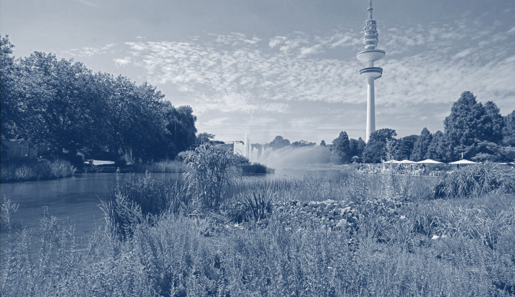 Picture of Hamburg's TV tower with a park in foreground